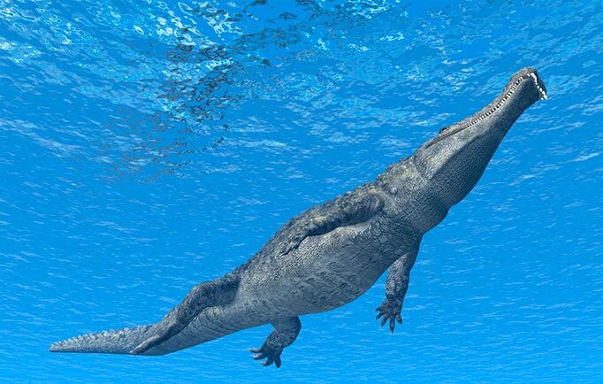 A huge crocodile underwater