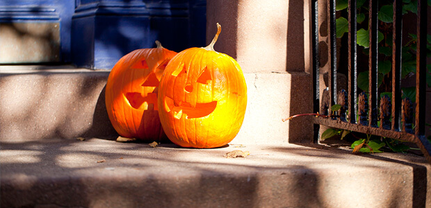 Image of a pumpkin