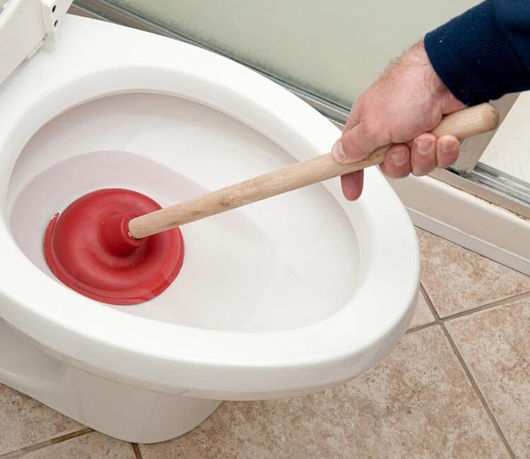 how to unblock clogged toilet