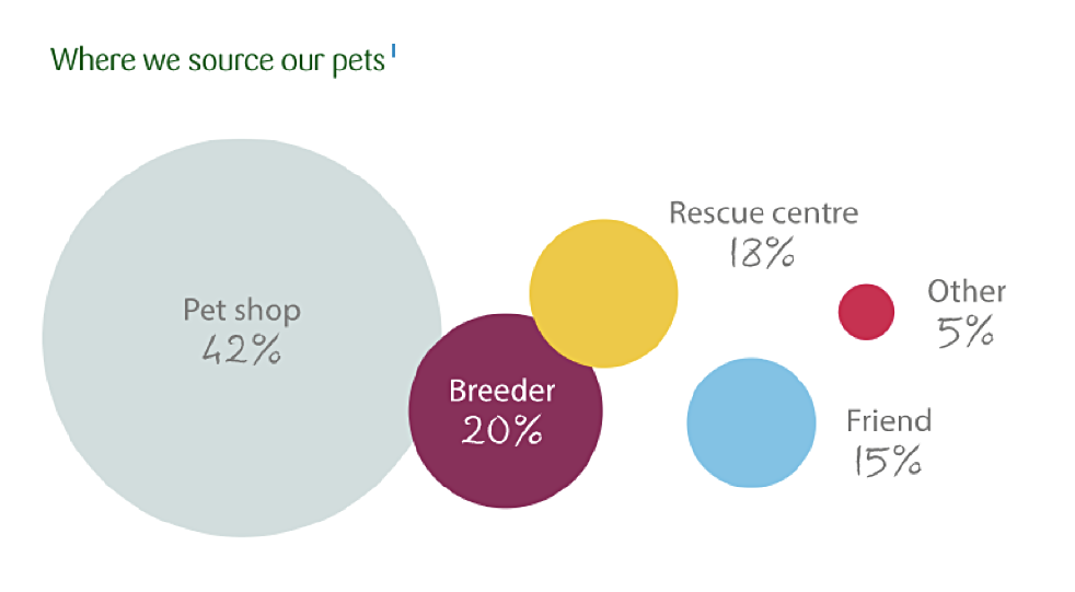 Graphic showing where we get our pets from