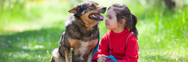 Child and dog sitting together in a field, the dog looks happy